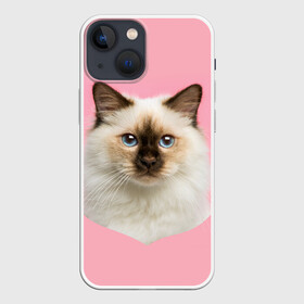 Чехол для iPhone 13 mini с принтом Пушистый кот в Новосибирске,  |  | белоснежный | взгляд | глаза | голубоглазый | киса | киска | кот | котик | котяра | профиль | пушистый | усы | уши