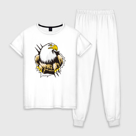 Женская пижама хлопок с принтом Орел 3D в Новосибирске, 100% хлопок | брюки и футболка прямого кроя, без карманов, на брюках мягкая резинка на поясе и по низу штанин | eagle | орел | орленок | орлиный взгляд | птица | птичка | хищная птица
