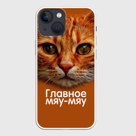 Чехол для iPhone 13 mini с принтом ГЛАВНОЕ МЯУ МЯУ в Новосибирске,  |  | Тематика изображения на принте: главное мяу мяу | животные | кот | кошка | мордочка | мяу | рыжий