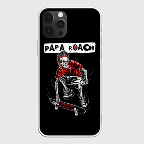 Чехол для iPhone 12 Pro Max с принтом Skater boy в Новосибирске, Силикон |  | alternative | metall | music | papa roach | rock | альтернатива | металл | музыка | папа роач | папа роуч | папа таракан | рок