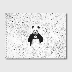 Альбом для рисования с принтом Панда Любовь Сердце Брызги в Новосибирске, 100% бумага
 | матовая бумага, плотность 200 мг. | Тематика изображения на принте: animals | beast | panda | брызги | глаза | животные | звери | краски | любовь | милые | панда | пятна | растения | сердце | серый | точки | цветы | чб | эвкалипт