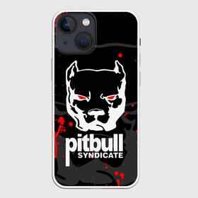 Чехол для iPhone 13 mini с принтом PITBULL SYNDICATE   ПИТБУДЬ в Новосибирске,  |  | games. | pitbull syndicate | игры | питбудь синдикат | питбуль | разработчик игр | собака | эрик давидыч