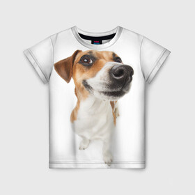 Детская футболка 3D с принтом Собака в Новосибирске, 100% гипоаллергенный полиэфир | прямой крой, круглый вырез горловины, длина до линии бедер, чуть спущенное плечо, ткань немного тянется | dog | джек | джек рассел | джек рассел терьер | дог | домашние животные | рассел | рассел терьер | собака | собаки | терьер