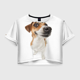 Женская футболка Crop-top 3D с принтом Собака в Новосибирске, 100% полиэстер | круглая горловина, длина футболки до линии талии, рукава с отворотами | dog | джек | джек рассел | джек рассел терьер | дог | домашние животные | рассел | рассел терьер | собака | собаки | терьер
