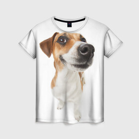 Женская футболка 3D с принтом Собака в Новосибирске, 100% полиэфир ( синтетическое хлопкоподобное полотно) | прямой крой, круглый вырез горловины, длина до линии бедер | dog | джек | джек рассел | джек рассел терьер | дог | домашние животные | рассел | рассел терьер | собака | собаки | терьер