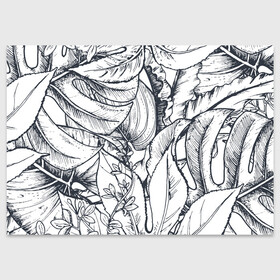 Поздравительная открытка с принтом Тропические листья в Новосибирске, 100% бумага | плотность бумаги 280 г/м2, матовая, на обратной стороне линовка и место для марки
 | Тематика изображения на принте: plants | растения | тропические листья | цветы | чёрно белые листья