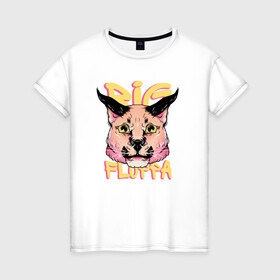 Женская футболка хлопок с принтом Big Cat  Floppa в Новосибирске, 100% хлопок | прямой крой, круглый вырез горловины, длина до линии бедер, слегка спущенное плечо | flopa | floppa | каракал | кот мем | мем с котом | русский кот | шлёпа