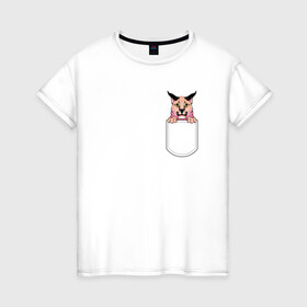 Женская футболка хлопок с принтом Шлёпа в кармане в Новосибирске, 100% хлопок | прямой крой, круглый вырез горловины, длина до линии бедер, слегка спущенное плечо | flopa | floppa | каракал | кот мем | мем с котом | русский кот | шлёпа