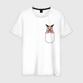 Мужская футболка хлопок с принтом Шлёпа в кармане в Новосибирске, 100% хлопок | прямой крой, круглый вырез горловины, длина до линии бедер, слегка спущенное плечо. | flopa | floppa | каракал | кот мем | мем с котом | русский кот | шлёпа