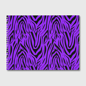 Альбом для рисования с принтом Абстрактный узор зебра  в Новосибирске, 100% бумага
 | матовая бумага, плотность 200 мг. | абстрактный | женский | зебра | креативный | модный | полосы | популярный | современный | черный и фиолетовый