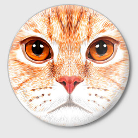 Значок с принтом Мур Мяу в Новосибирске,  металл | круглая форма, металлическая застежка в виде булавки | cat | kitty | pussycat | киса | кот | кошечка | кошка