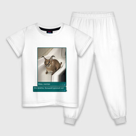 Детская пижама хлопок с принтом Шлёпа в Новосибирске, 100% хлопок |  брюки и футболка прямого кроя, без карманов, на брюках мягкая резинка на поясе и по низу штанин
 | Тематика изображения на принте: каракал | кот | мемы | русский кот | рысь | шлёпа