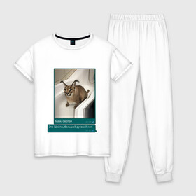 Женская пижама хлопок с принтом Шлёпа в Новосибирске, 100% хлопок | брюки и футболка прямого кроя, без карманов, на брюках мягкая резинка на поясе и по низу штанин | каракал | кот | мемы | русский кот | рысь | шлёпа