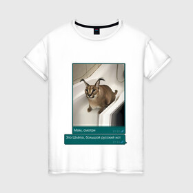 Женская футболка хлопок с принтом Шлёпа в Новосибирске, 100% хлопок | прямой крой, круглый вырез горловины, длина до линии бедер, слегка спущенное плечо | каракал | кот | мемы | русский кот | рысь | шлёпа