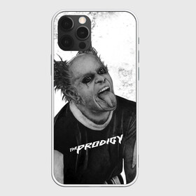 Чехол для iPhone 12 Pro с принтом THE PRODIGY | ПРОДИДЖИ (Z) в Новосибирске, силикон | область печати: задняя сторона чехла, без боковых панелей | keith charles flint | prodigy | the prodigy | альтернативный дэнс | бигбит | брейкбит | кит флинт | лиам хоулетт | максим реалити | продиги | продиджи | продиди | техно | электроник рок | электропанк