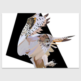 Поздравительная открытка с принтом Сова в деле в Новосибирске, 100% бумага | плотность бумаги 280 г/м2, матовая, на обратной стороне линовка и место для марки
 | арт | дикие животные | дикие звери | дикие птицы | животное | животные | лягушка | охота | природа | птица | птицы | рисунок | сова