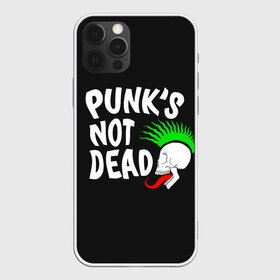 Чехол для iPhone 12 Pro Max с принтом Веселый панк в Новосибирске, Силикон |  | alternative | music | punk | punks not dead | rock | альтернатива | музыка | панк | панки не умерают | панкс нот дэд | рок