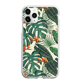 Чехол для iPhone 11 Pro матовый с принтом Тропический паттерн в Новосибирске, Силикон |  | азия | акварель | акварельный | банановые листья | ботанический | винтажный | зеленый | иллюстрация | лес | летний | лето | монстера | оранжевый | отпуск | пальмовые листья | стрелиция | тропики