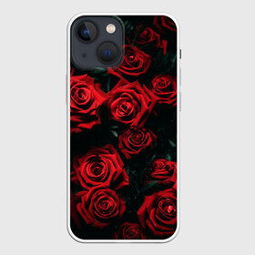 Чехол для iPhone 13 mini с принтом РОЗЫ НА ЧЁРНОМ ФОНЕ в Новосибирске,  |  | аромат | любовь | растения | розы | текстура | цветы | шипы