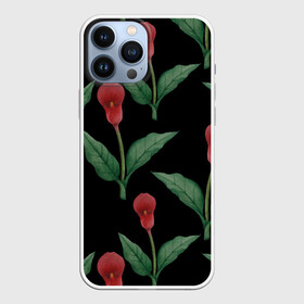 Чехол для iPhone 13 Pro Max с принтом Красные каллы на черном в Новосибирске,  |  | 8 марта | flowers | march 8 | spring | ботаническая иллюстрация | весна | день рождения | зеленый | каллы | красный | лето | любовь | праздник | принт | природа | растения | цветы | черный