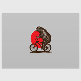 Поздравительная открытка с принтом Медведь на велосиеде в Новосибирске, 100% бумага | плотность бумаги 280 г/м2, матовая, на обратной стороне линовка и место для марки
 | вело | велосипед | медведь | солнце | спорт | япония