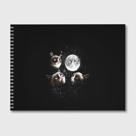 Альбом для рисования с принтом ГРУСТНЫЕ ЛУННЫЕ КОТЫ в Новосибирске, 100% бумага
 | матовая бумага, плотность 200 мг. | cat | cosmo | face | memes | night | sky | stars | голова | звезды | интернет | космос | коты | кошки | лицо | луна | мем | ночь | отражение | прикол | рисунок