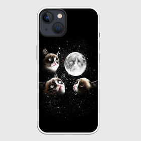 Чехол для iPhone 13 с принтом ГРУСТНЫЕ ЛУННЫЕ КОТЫ в Новосибирске,  |  | cat | cosmo | face | memes | night | sky | stars | голова | звезды | интернет | космос | коты | кошки | лицо | луна | мем | ночь | отражение | прикол | рисунок