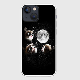 Чехол для iPhone 13 mini с принтом ГРУСТНЫЕ ЛУННЫЕ КОТЫ в Новосибирске,  |  | Тематика изображения на принте: cat | cosmo | face | memes | night | sky | stars | голова | звезды | интернет | космос | коты | кошки | лицо | луна | мем | ночь | отражение | прикол | рисунок