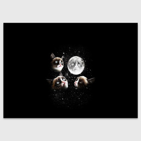 Поздравительная открытка с принтом ГРУСТНЫЕ ЛУННЫЕ КОТЫ в Новосибирске, 100% бумага | плотность бумаги 280 г/м2, матовая, на обратной стороне линовка и место для марки
 | cat | cosmo | face | memes | night | sky | stars | голова | звезды | интернет | космос | коты | кошки | лицо | луна | мем | ночь | отражение | прикол | рисунок