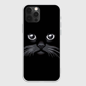 Чехол для iPhone 12 Pro с принтом Кот Журбей в Новосибирске, силикон | область печати: задняя сторона чехла, без боковых панелей | большие глаза | голова кота | милота. | мордочка | настроение | позитив | усики | черный