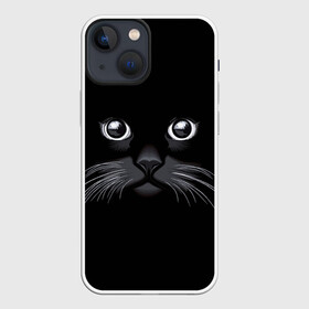 Чехол для iPhone 13 mini с принтом Кот Журбей в Новосибирске,  |  | большие глаза | голова кота | милота. | мордочка | настроение | позитив | усики | черный