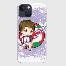 Чехол для iPhone 13 mini с принтом Ushijima Wakatoshi | Haikyu | Волейбол (Z) в Новосибирске,  |  | haikuu | haikyu | haikyuu | ushijima wakatoshi | волейбол | маленький гигант | сёё | сёё хината | спортивная манга | хайку | хайкю | хината