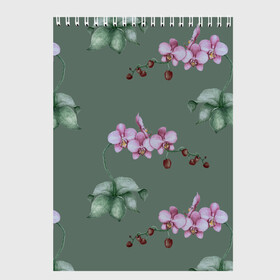Скетчбук с принтом Розовые орхидеи в Новосибирске, 100% бумага
 | 48 листов, плотность листов — 100 г/м2, плотность картонной обложки — 250 г/м2. Листы скреплены сверху удобной пружинной спиралью | 8 марта | flowers | march 8 | spring | ботаническая иллюстрация | весна | день рождения | зеленый | лето | любовь | орхидея | праздник | принт | природа | растения | розовый | цветы