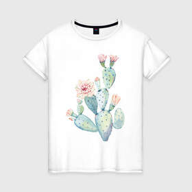 Женская футболка хлопок с принтом Нежный акварельный кактус  в Новосибирске, 100% хлопок | прямой крой, круглый вырез горловины, длина до линии бедер, слегка спущенное плечо | акварель | кактус | колючий | нежный акварельный кактус | растение | цветок