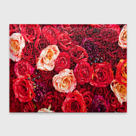 Обложка для студенческого билета с принтом Букет роз в Новосибирске, натуральная кожа | Размер: 11*8 см; Печать на всей внешней стороне | Тематика изображения на принте: большие | букет | девушкам | красивые | пышные | розы | цветы | яркие