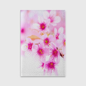 Обложка для паспорта матовая кожа с принтом Весеннее цветение вишни в Новосибирске, натуральная матовая кожа | размер 19,3 х 13,7 см; прозрачные пластиковые крепления | Тематика изображения на принте: бутоны | весна | девушкам | красивые | розовые | сакура | цветение | цветы | яблоня