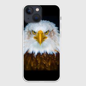 Чехол для iPhone 13 mini с принтом Белоголовый орлан в Новосибирске,  |  | грозный | красивый | опасный | орлан | пернатый | птица | хищный
