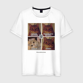 Мужская футболка хлопок с принтом Котики фантаста в Новосибирске, 100% хлопок | прямой крой, круглый вырез горловины, длина до линии бедер, слегка спущенное плечо. | Тематика изображения на принте: cats | humour | joke | meme | sarcasm | writers | коты | мем | писатели | сарказм | юмор