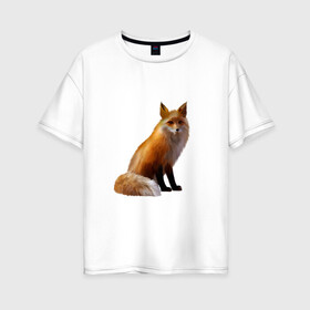 Женская футболка хлопок Oversize с принтом лиса в Новосибирске, 100% хлопок | свободный крой, круглый ворот, спущенный рукав, длина до линии бедер
 | животное | зверь | лисица | пушистая лисичка | хищник