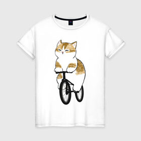 Женская футболка хлопок с принтом Котик на велосипеде в Новосибирске, 100% хлопок | прямой крой, круглый вырез горловины, длина до линии бедер, слегка спущенное плечо | арт | велосипед | ветер | кот | котёнок | кошка | милая кошка | милый кот | милый котёнок | отдых | отдыхает | пончик | рисунок