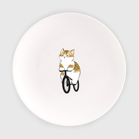 Тарелка с принтом Котик на велосипеде в Новосибирске, фарфор | диаметр - 210 мм
диаметр для нанесения принта - 120 мм | арт | велосипед | ветер | кот | котёнок | кошка | милая кошка | милый кот | милый котёнок | отдых | отдыхает | пончик | рисунок