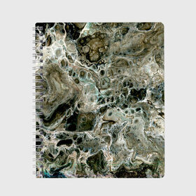 Тетрадь с принтом Инопланетный камуфляж в Новосибирске, 100% бумага | 48 листов, плотность листов — 60 г/м2, плотность картонной обложки — 250 г/м2. Листы скреплены сбоку удобной пружинной спиралью. Уголки страниц и обложки скругленные. Цвет линий — светло-серый
 | Тематика изображения на принте: абстрактный | космос | краска | натуральный | паутина | пена | психоделический | психоделия | пятна | пятна краски | разводы | разводы краски | разливы краски | серый | фантазийный | фантастика