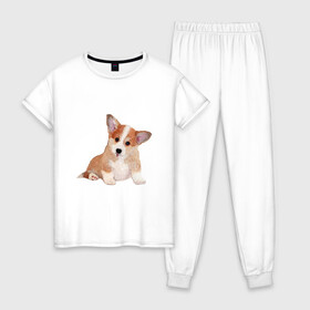 Женская пижама хлопок с принтом Fluffy Corgi в Новосибирске, 100% хлопок | брюки и футболка прямого кроя, без карманов, на брюках мягкая резинка на поясе и по низу штанин | corgi | dog | fluffy | puppy | корги | милый | пушистый | собака | щенок