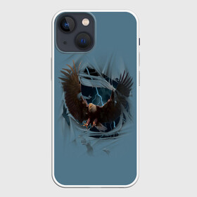 Чехол для iPhone 13 mini с принтом ОРЕЛ СКВОЗЬ ТКАНЬ в Новосибирске,  |  | animal | bird | eagle | hunter | power | гордый | гроза | животные | звери | молния | мощь | орел | природа | птица | сила | хищник