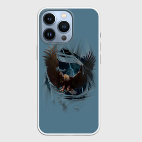 Чехол для iPhone 13 Pro с принтом ОРЕЛ СКВОЗЬ ТКАНЬ в Новосибирске,  |  | animal | bird | eagle | hunter | power | гордый | гроза | животные | звери | молния | мощь | орел | природа | птица | сила | хищник