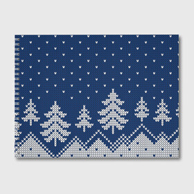 Альбом для рисования с принтом Зимняя ночь в Новосибирске, 100% бумага
 | матовая бумага, плотность 200 мг. | Тематика изображения на принте: арт | вязаный рисунок | вязь | зима | зимняя ночь | лес | новый год | ночь | рисунок | рождество | снег | снеговик | снеговики | снежинка | снежинки