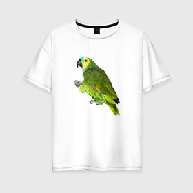 Женская футболка хлопок Oversize с принтом Попугайчик в Новосибирске, 100% хлопок | свободный крой, круглый ворот, спущенный рукав, длина до линии бедер
 | bird | parrot | wings | крылья | попугай | птица