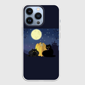 Чехол для iPhone 13 Pro с принтом Котострашилка в Новосибирске,  |  | halloween | helloween | ведьма | котики | мистика | мистический дом | ночь | страшно | тыква | хеллоуин | хэллоуин