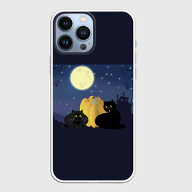 Чехол для iPhone 13 Pro Max с принтом Котострашилка в Новосибирске,  |  | halloween | helloween | ведьма | котики | мистика | мистический дом | ночь | страшно | тыква | хеллоуин | хэллоуин