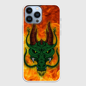 Чехол для iPhone 13 Pro Max с принтом Японский дракон | Japanese Dragon в Новосибирске,  |  | dragon | fire | japanese dragon | monster | драго | дракон | монстр | огнедыщащий | огонь | прикольная картинка | чудовище | японский дракон | ящерица